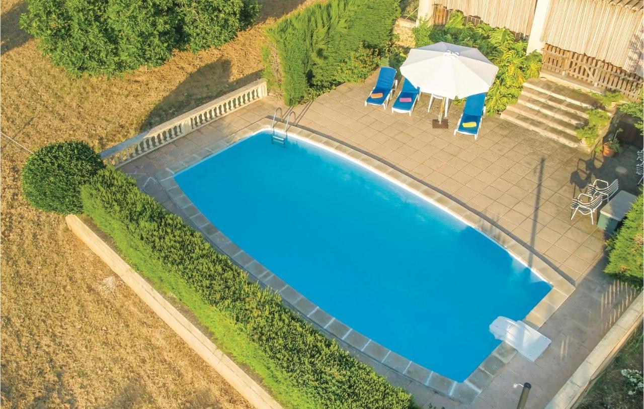 Pet Friendly In With Kitchen Apartamento