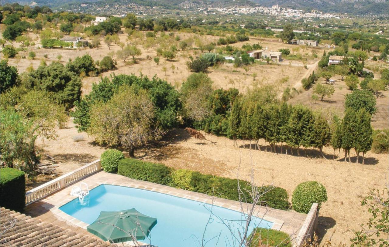 Apartamento Pet Friendly In With Kitchen
