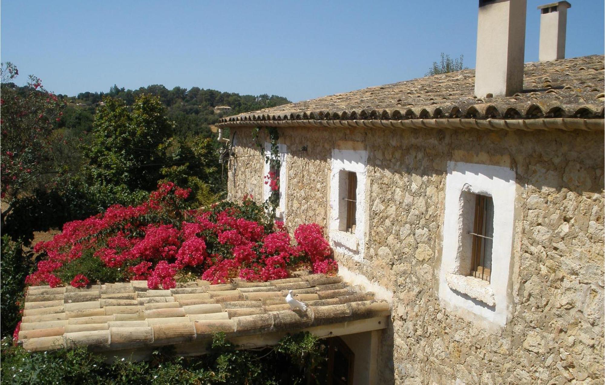 Pet Friendly In With Kitchen * Selva (Mallorca)