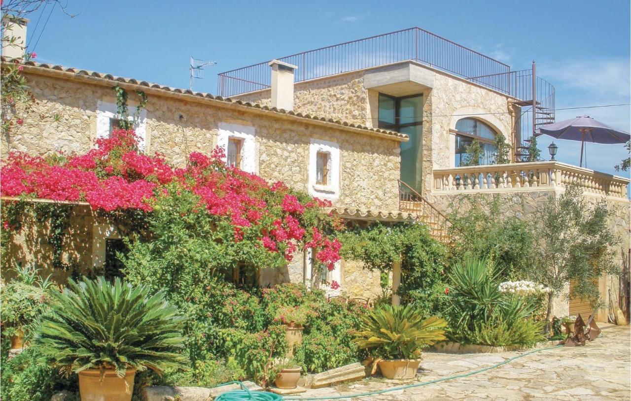 Pet Friendly In With Kitchen Appartement